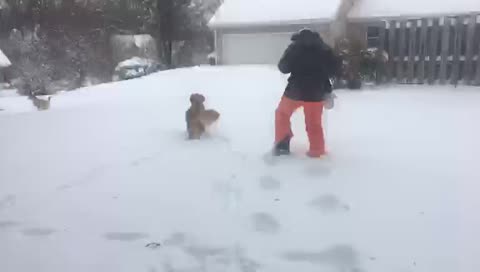 heybaegel's mobile stream