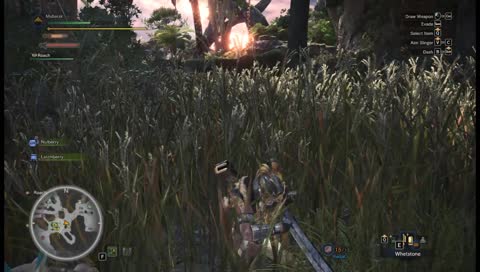 Playing monster hunter world