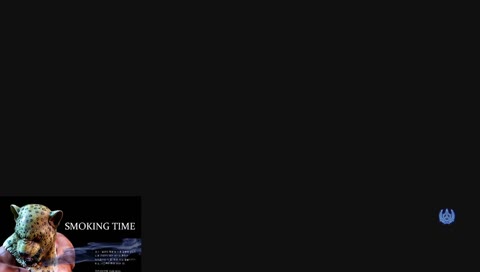 Puma (Armorking/King) 아머킹 플레이