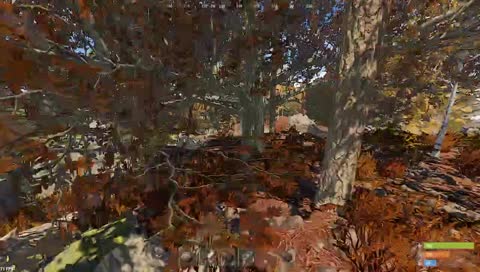 러스트 생존게임 하러 왔습니다..