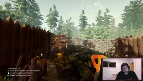Aussies Play The Forest
