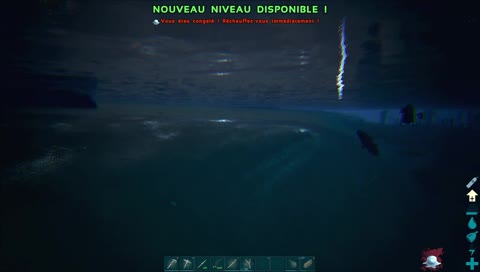 Le début de l'aventure ark