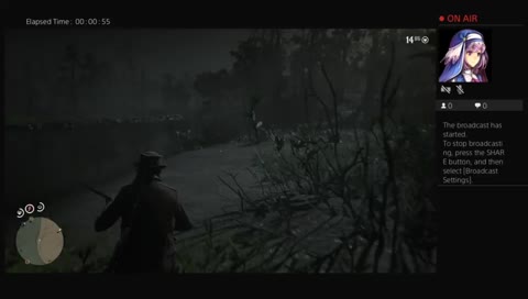 Rdr2 Bird hunting 
