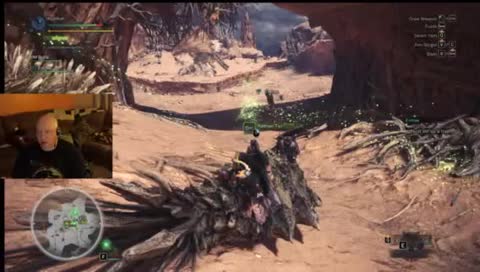 Mia accidently killing a rathian