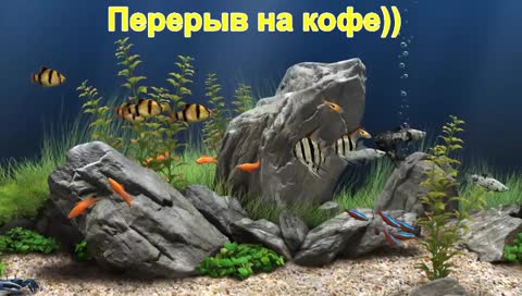 Интуиция в шахматах Lichess.org♜
