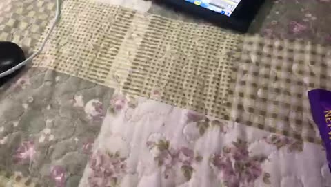 twitch_tazekevin’s mobile stream