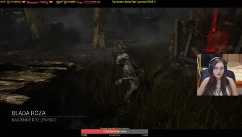Bardzo uprzejmy kat ( ͡° ͜ʖ ͡°)