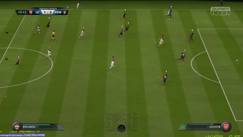 UNITED CITY - WARRIORS / 4STARS / PROFI CLUBS