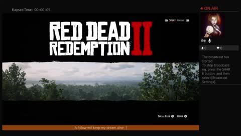 Red dead redemption 2 story mode