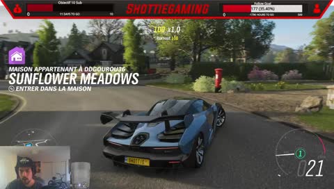 Forza Horizon 4 decouverte