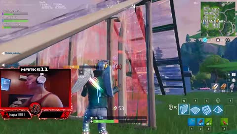 El arbusto haciendo de las suyas