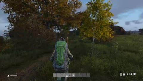 DayZ 1.0 Exploration 