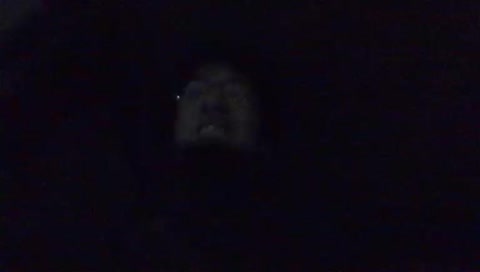 Asian and Nova Go Stuffing