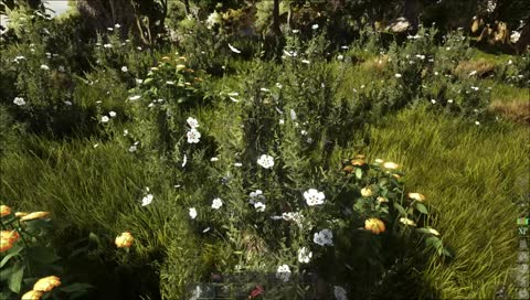 新発売されたオーブンワールド型の海賊ゲームに生挑戦【ATLAS 生放送 2018年12月23日】