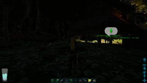 FoxRP - Runa - strolling through cemeteries 