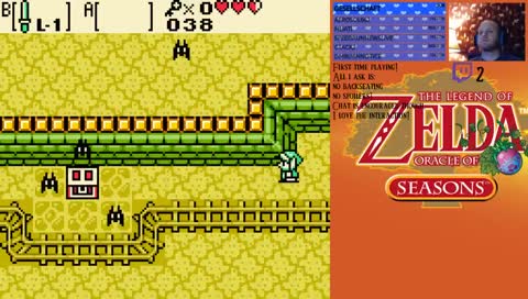 Hopefully we will finish Link's Awakening today! Last two dungeons!  No spoilers or backseating please!  Come hang out and watch! [nosrl]