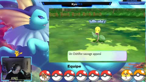 On cherche Chetiflor ( ou Bulbizarre )