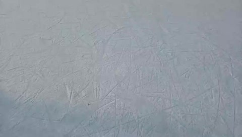 Ice skating with the boys