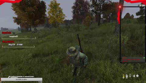 Енто Dayz