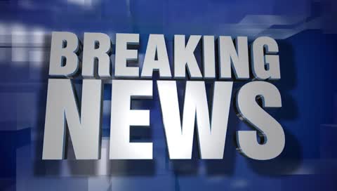 Vicious Cute Girl Hunts for Love