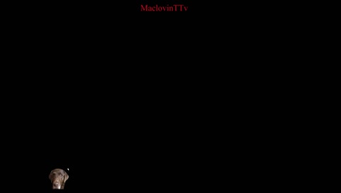 What is a pirates fav letter