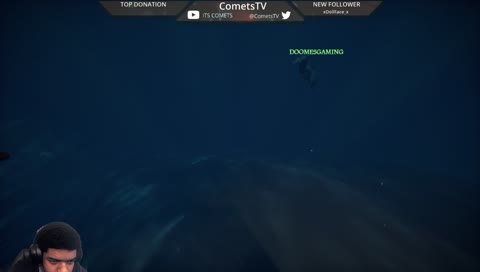 Shark said lemme come with u