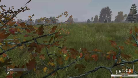 В поисках контента / DayZ Stradalon