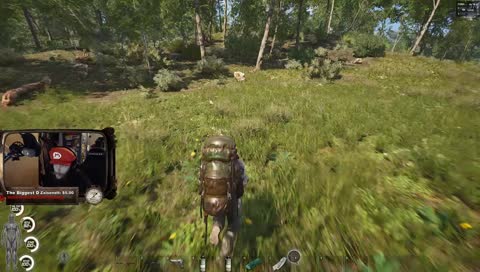 the infamous bear