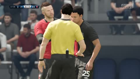 Shin Snapper