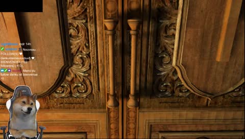 [FR] [DOGE] Go finir le jeu ..