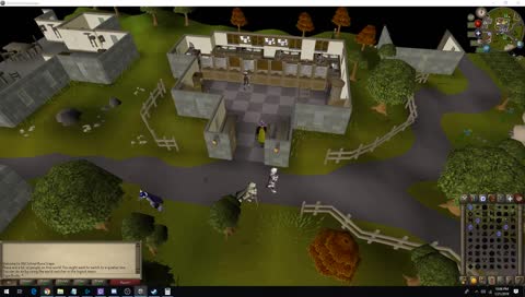 Runescape Killin some serious dragons