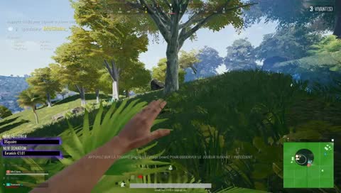 Ouane V Ouane situéchieune