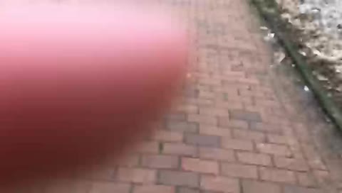 Мобильная трансляция fwexy