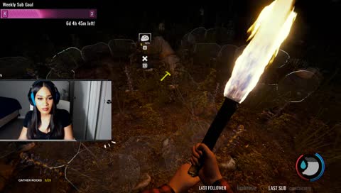 Im a NOOB! send help. :) Moosquad