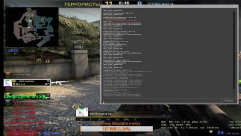 Minecraft. Пчёлы. Разговорный выпуск