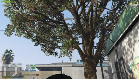 IL CAPITANO MAX SALVATO DA UN PESCHERECCIO PORTATO IN UN ALTRA CITTà. FACCIO RP LA VITA PRIVATA è ALTRO .. GTA V FIVE